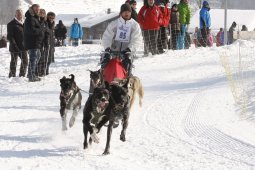 Lenk 2012 SM